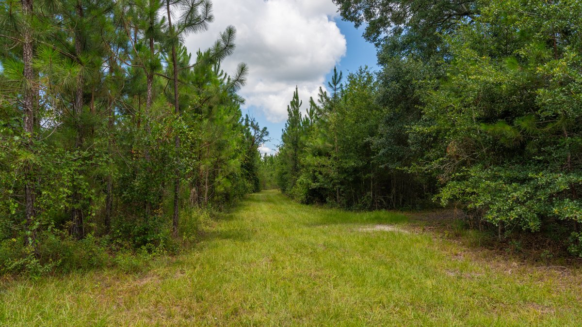 Image for 77± Acres - The Val Del Tract - Recreational and Homesite Opportunity