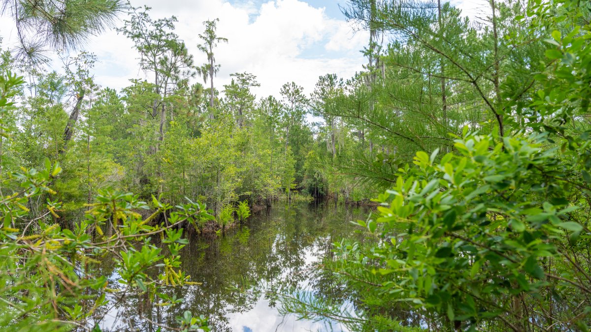 Image for 77± Acres - The Val Del Tract - Recreational and Homesite Opportunity