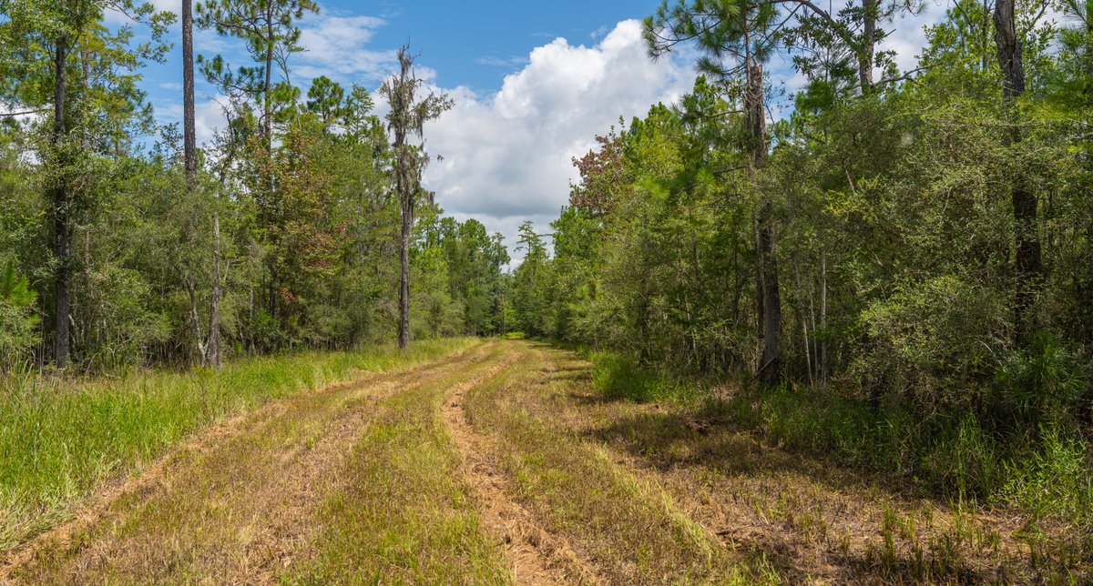 Image for 77± Acres - The Val Del Tract - Recreational and Homesite Opportunity