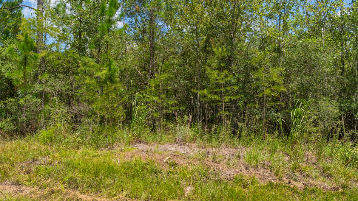 Image for 77± Acres - The Val Del Tract - Recreational and Homesite Opportunity