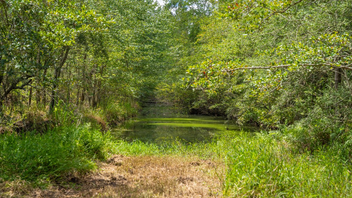 Image for 77± Acres - The Val Del Tract - Recreational and Homesite Opportunity