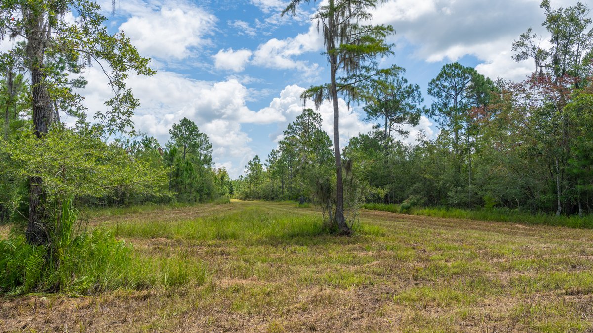 Image for 77± Acres - The Val Del Tract - Recreational and Homesite Opportunity