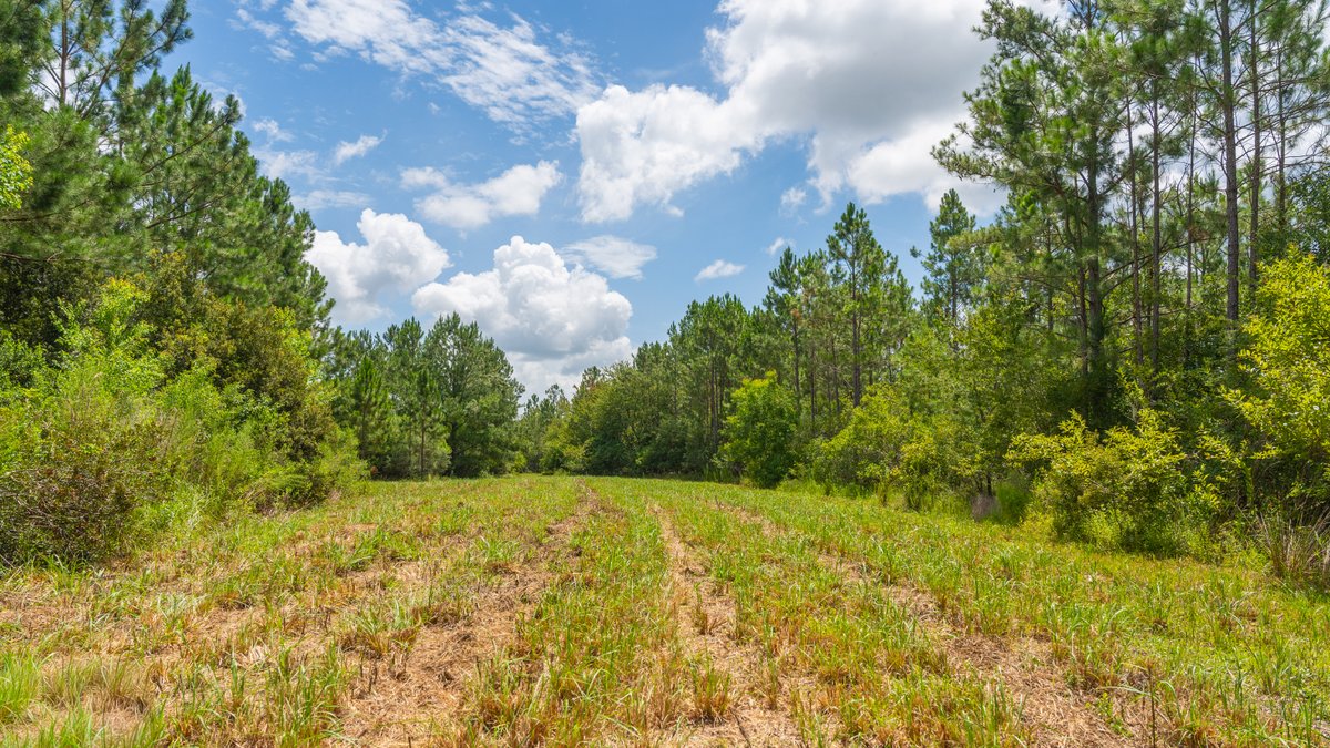 Image for 77± Acres - The Val Del Tract - Recreational and Homesite Opportunity