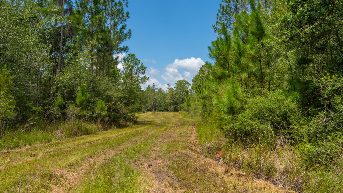 Image for 77± Acres - The Val Del Tract - Recreational and Homesite Opportunity