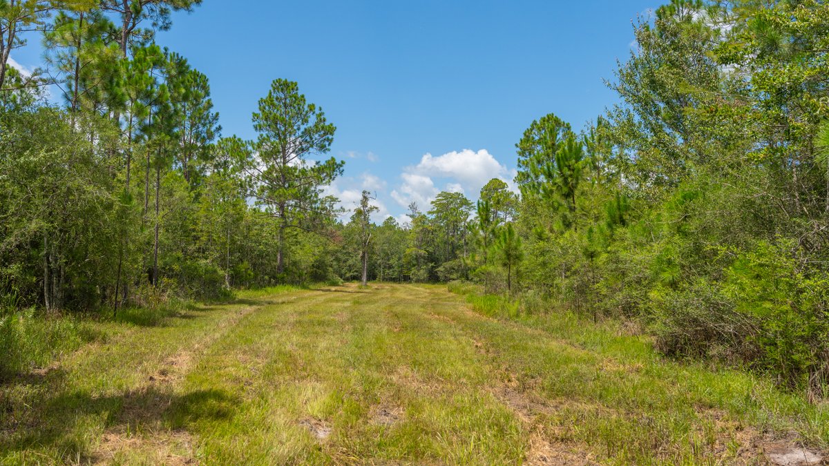 Image for 77± Acres - The Val Del Tract - Recreational and Homesite Opportunity