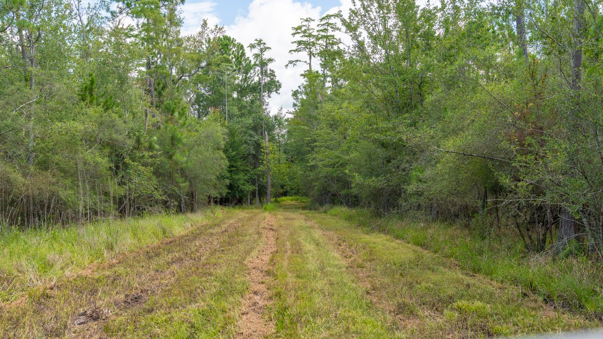 Image for 77± Acres - The Val Del Tract - Recreational and Homesite Opportunity