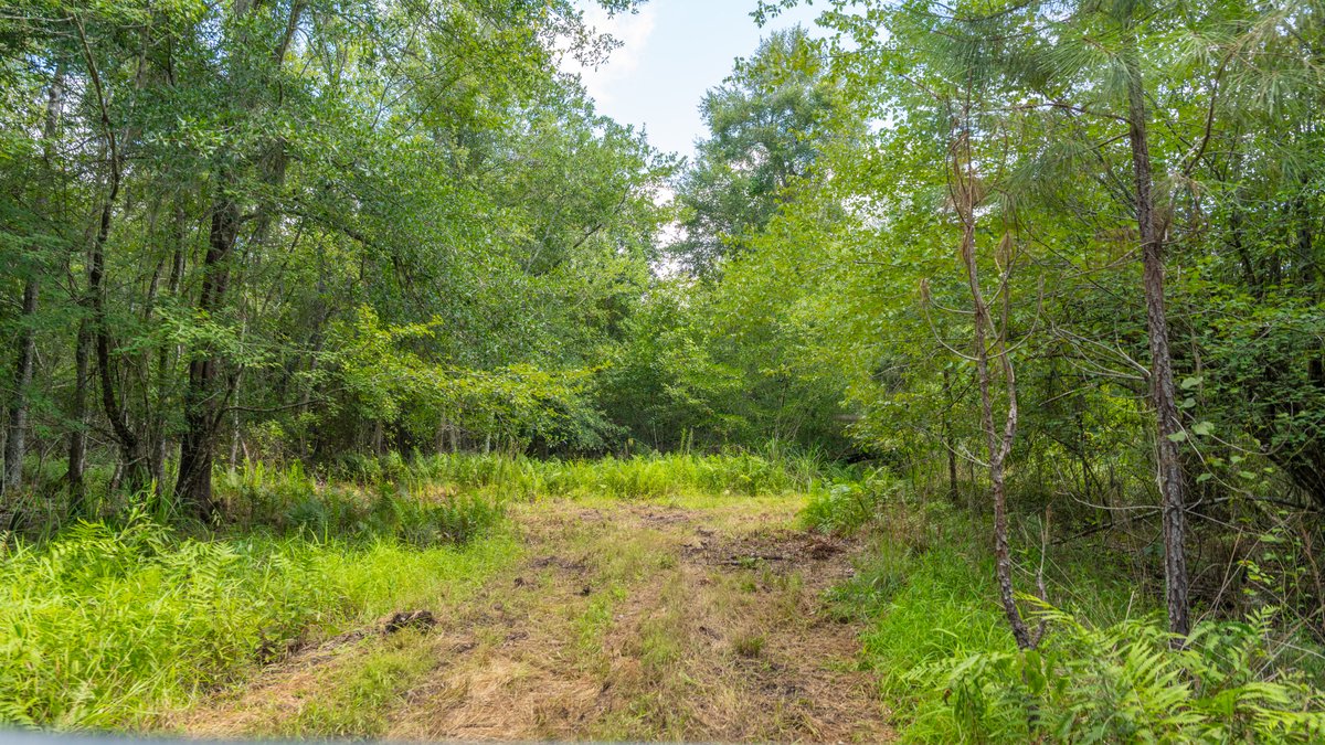 Image for 77± Acres - The Val Del Tract - Recreational and Homesite Opportunity