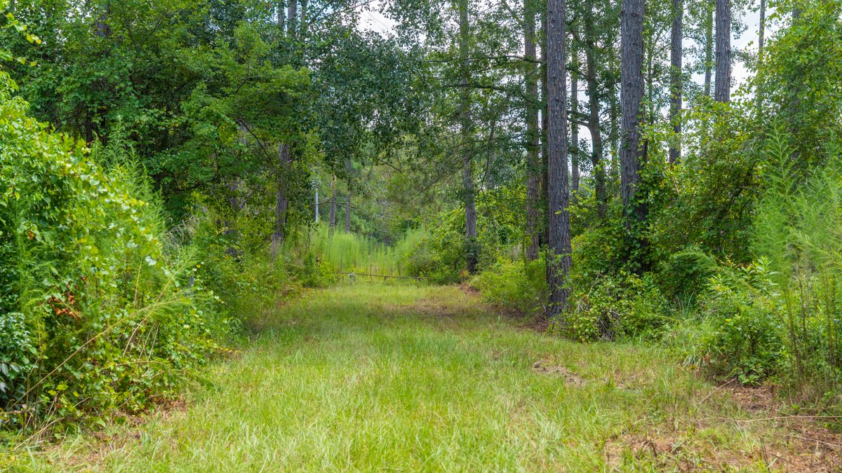 Image for 77± Acres - The Val Del Tract - Recreational and Homesite Opportunity