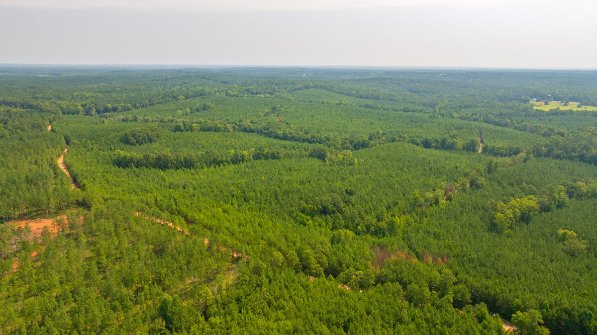 Image for The Martin Branch Retreat - 227± Acres - Crawford County, Georgia - Exceptional Hunting, Homesite Opportunities & Timber Investment