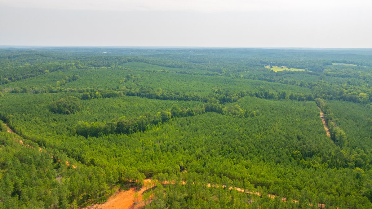Image for The Martin Branch Retreat - 227± Acres - Crawford County, Georgia - Exceptional Hunting, Homesite Opportunities & Timber Investment