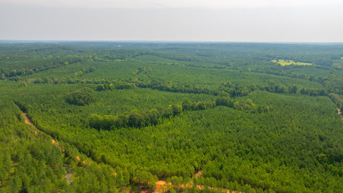 Image for The Martin Branch Retreat - 227± Acres - Crawford County, Georgia - Exceptional Hunting, Homesite Opportunities & Timber Investment