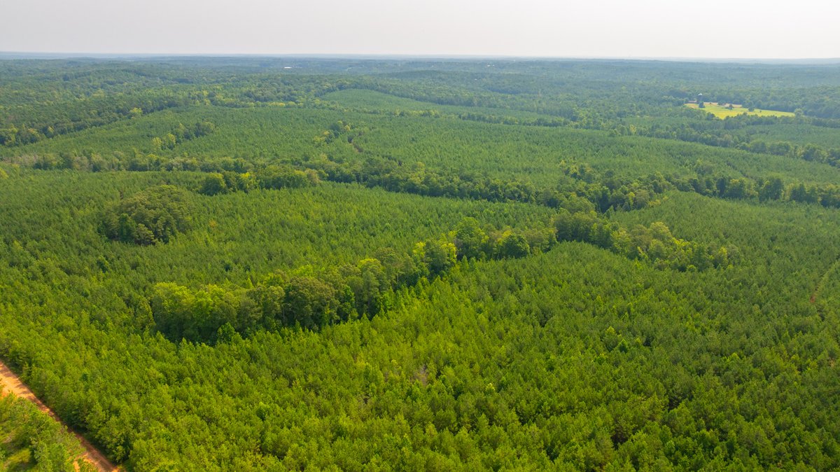 Image for The Martin Branch Retreat - 227± Acres - Crawford County, Georgia - Exceptional Hunting, Homesite Opportunities & Timber Investment