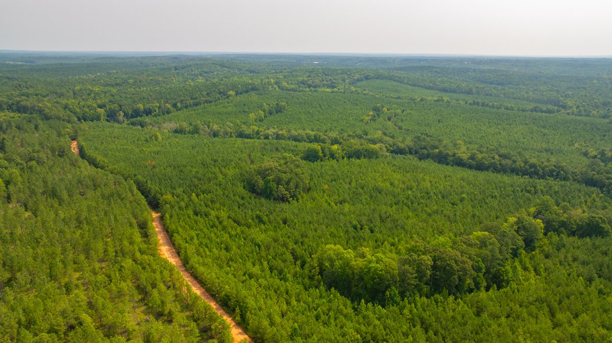 Image for The Martin Branch Retreat - 227± Acres - Crawford County, Georgia - Exceptional Hunting, Homesite Opportunities & Timber Investment