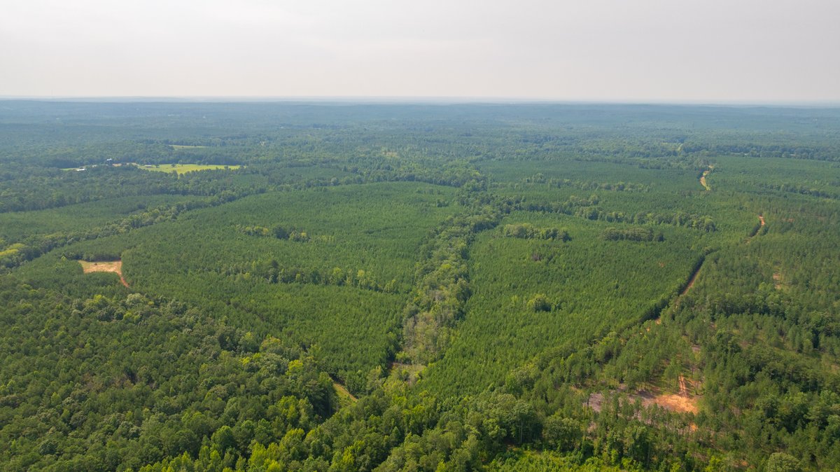 Image for The Martin Branch Retreat - 227± Acres - Crawford County, Georgia - Exceptional Hunting, Homesite Opportunities & Timber Investment