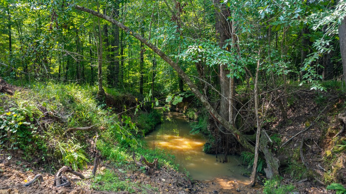 Image for The Martin Branch Retreat - 227± Acres - Crawford County, Georgia - Exceptional Hunting, Homesite Opportunities & Timber Investment