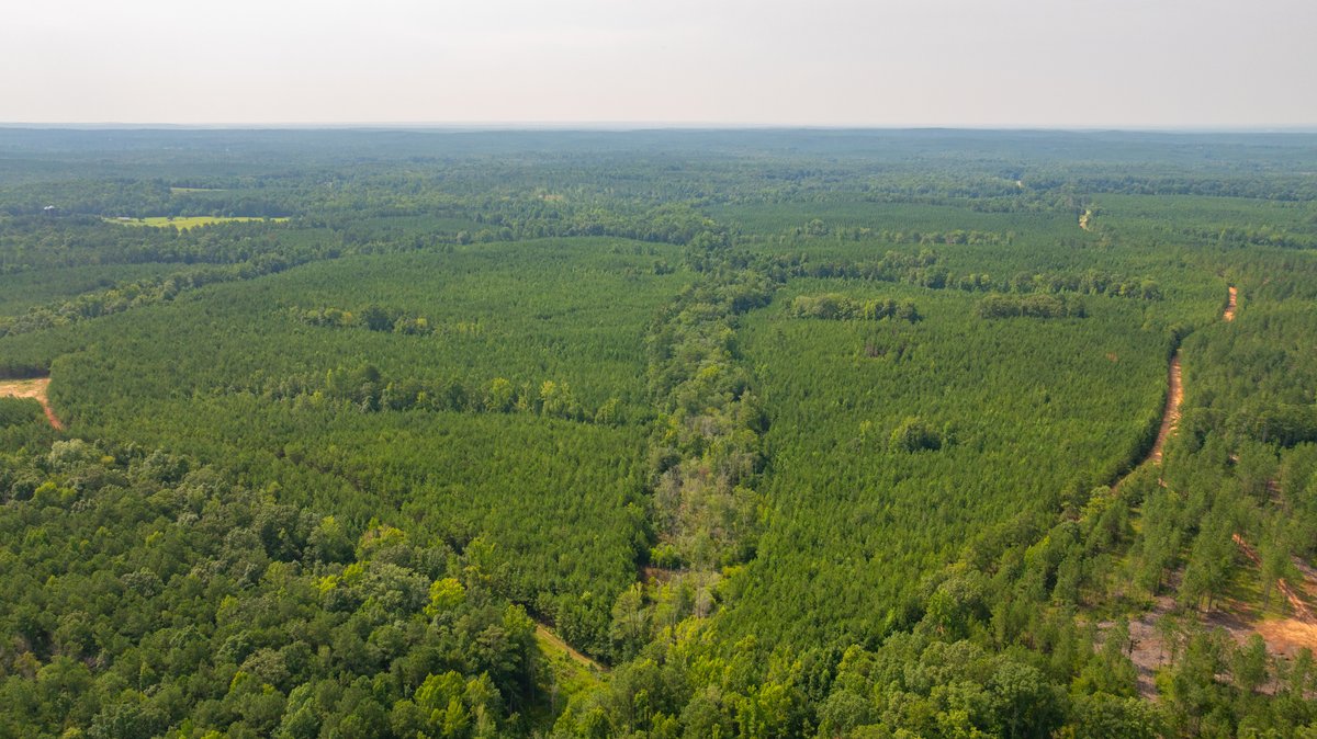 Image for The Martin Branch Retreat - 227± Acres - Crawford County, Georgia - Exceptional Hunting, Homesite Opportunities & Timber Investment