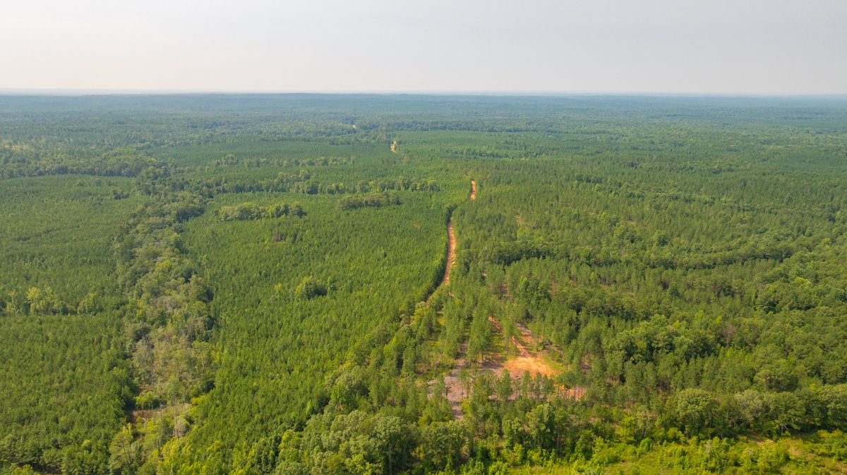 Image for The Martin Branch Retreat - 227± Acres - Crawford County, Georgia - Exceptional Hunting, Homesite Opportunities & Timber Investment