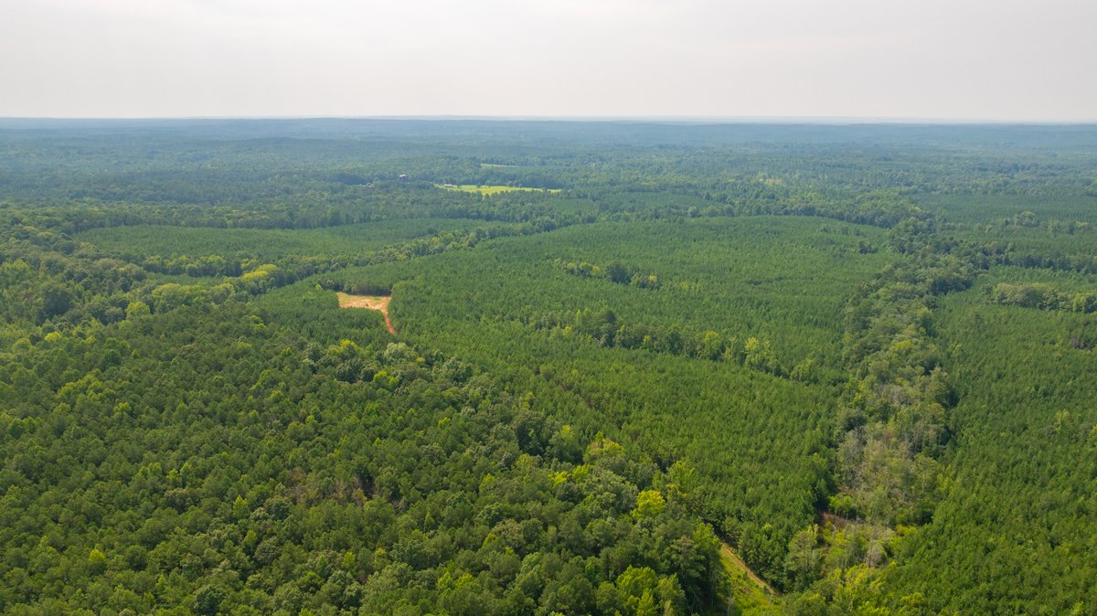 Image for The Martin Branch Retreat - 227± Acres - Crawford County, Georgia - Exceptional Hunting, Homesite Opportunities & Timber Investment