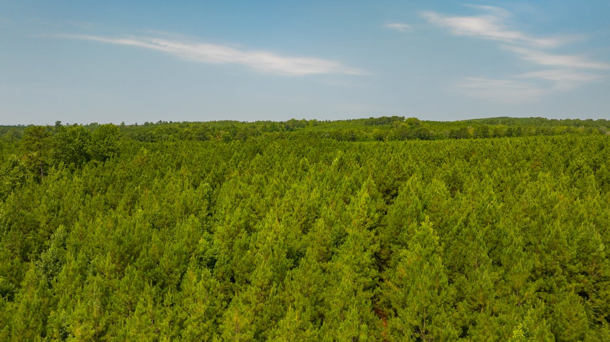 Image for The Martin Branch Retreat - 227± Acres - Crawford County, Georgia - Exceptional Hunting, Homesite Opportunities & Timber Investment
