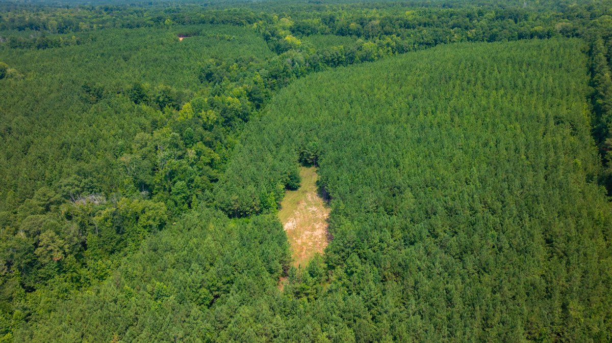 Image for The Martin Branch Retreat - 227± Acres - Crawford County, Georgia - Exceptional Hunting, Homesite Opportunities & Timber Investment