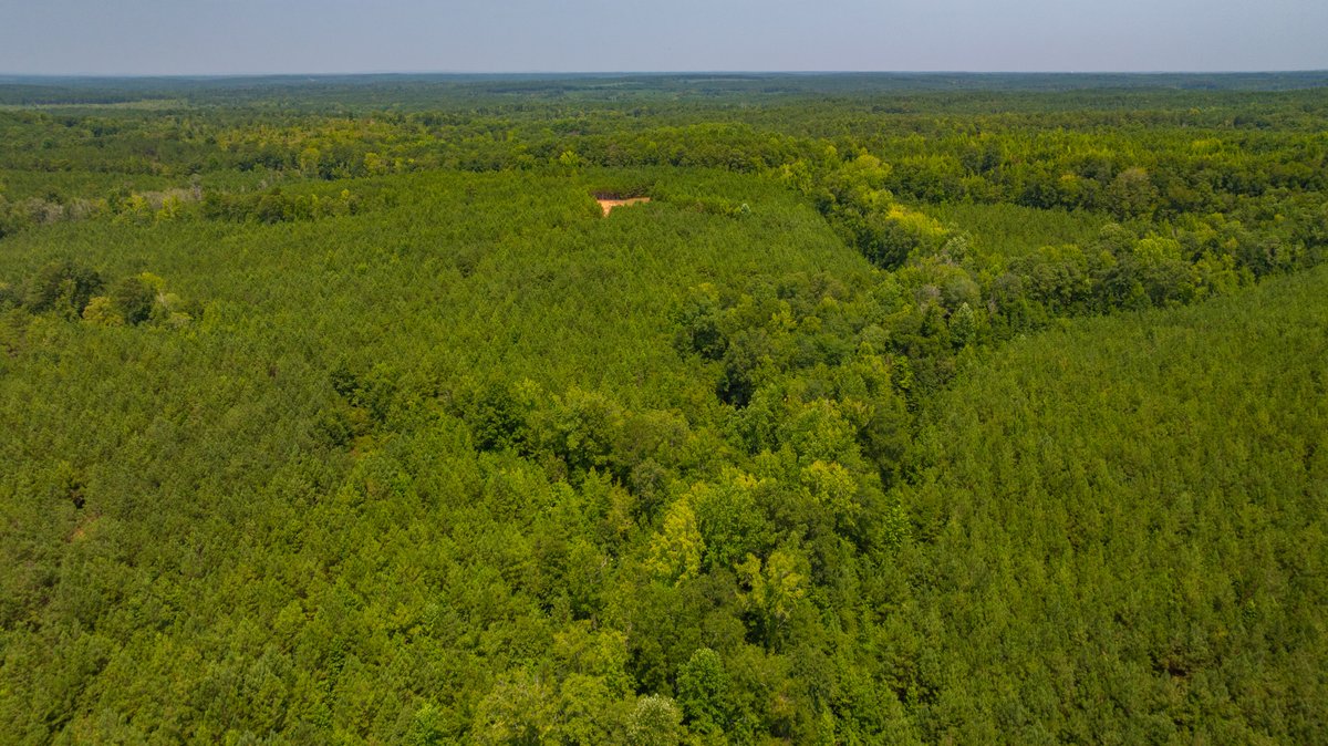 Image for The Martin Branch Retreat - 227± Acres - Crawford County, Georgia - Exceptional Hunting, Homesite Opportunities & Timber Investment
