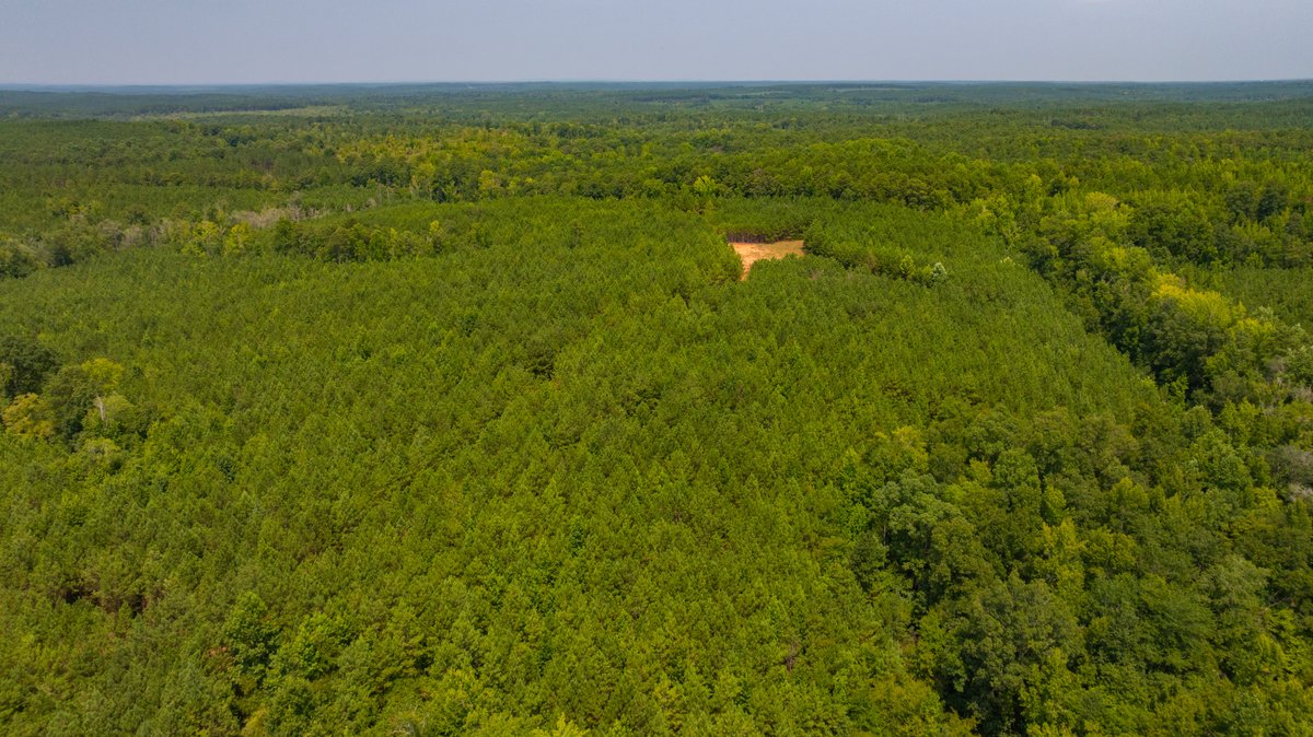 Image for The Martin Branch Retreat - 227± Acres - Crawford County, Georgia - Exceptional Hunting, Homesite Opportunities & Timber Investment