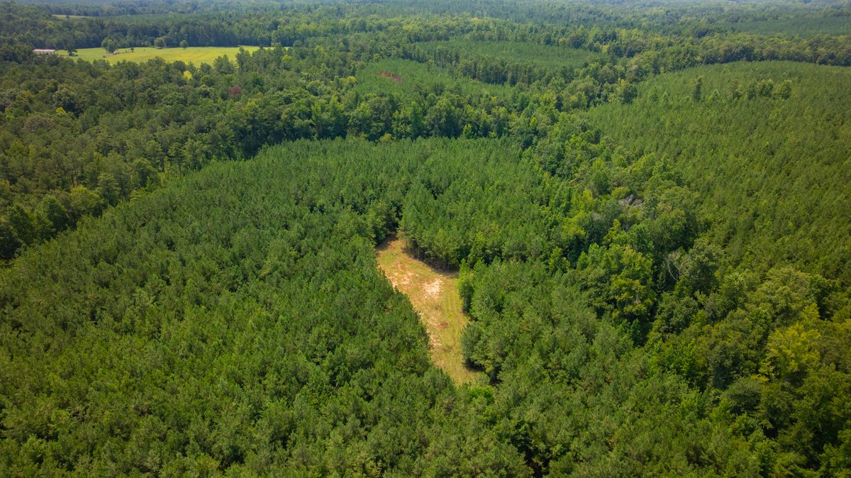 Image for The Martin Branch Retreat - 227± Acres - Crawford County, Georgia - Exceptional Hunting, Homesite Opportunities & Timber Investment