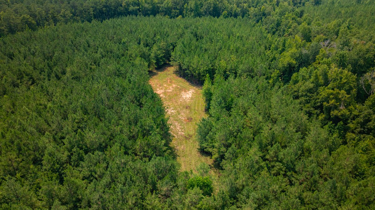 Image for The Martin Branch Retreat - 227± Acres - Crawford County, Georgia - Exceptional Hunting, Homesite Opportunities & Timber Investment