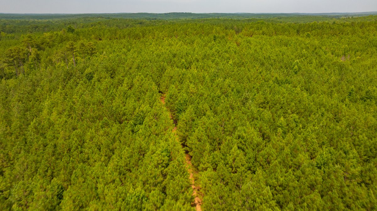 Image for The Martin Branch Retreat - 227± Acres - Crawford County, Georgia - Exceptional Hunting, Homesite Opportunities & Timber Investment