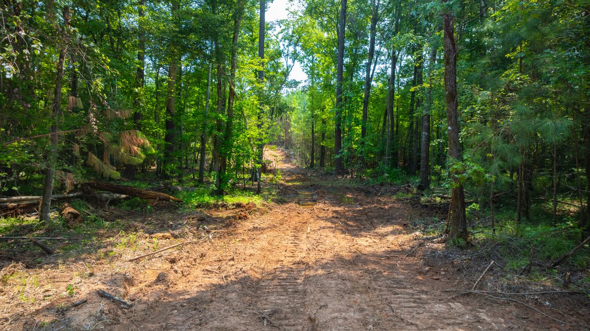 Image for The Martin Branch Retreat - 227± Acres - Crawford County, Georgia - Exceptional Hunting, Homesite Opportunities & Timber Investment