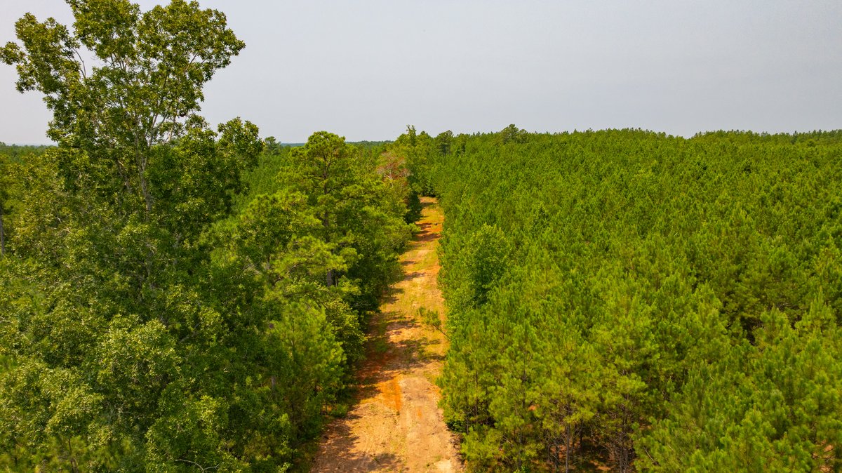 Image for The Martin Branch Retreat - 227± Acres - Crawford County, Georgia - Exceptional Hunting, Homesite Opportunities & Timber Investment
