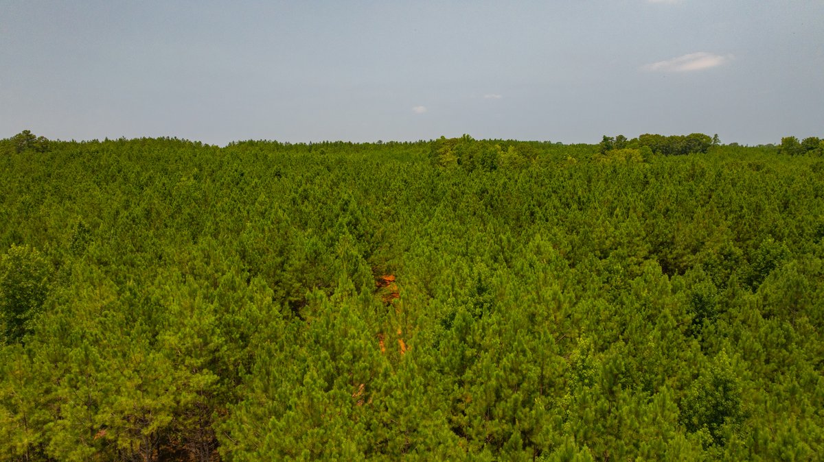 Image for The Martin Branch Retreat - 227± Acres - Crawford County, Georgia - Exceptional Hunting, Homesite Opportunities & Timber Investment