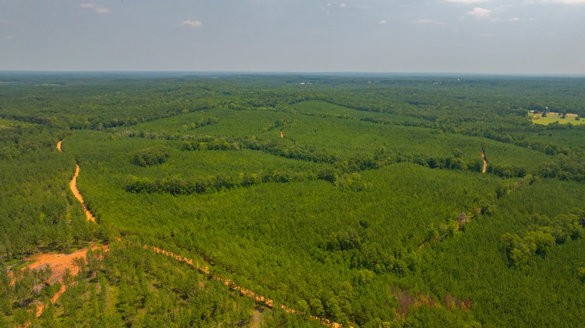 Image for The Martin Branch Retreat - 227± Acres - Crawford County, Georgia - Exceptional Hunting, Homesite Opportunities & Timber Investment