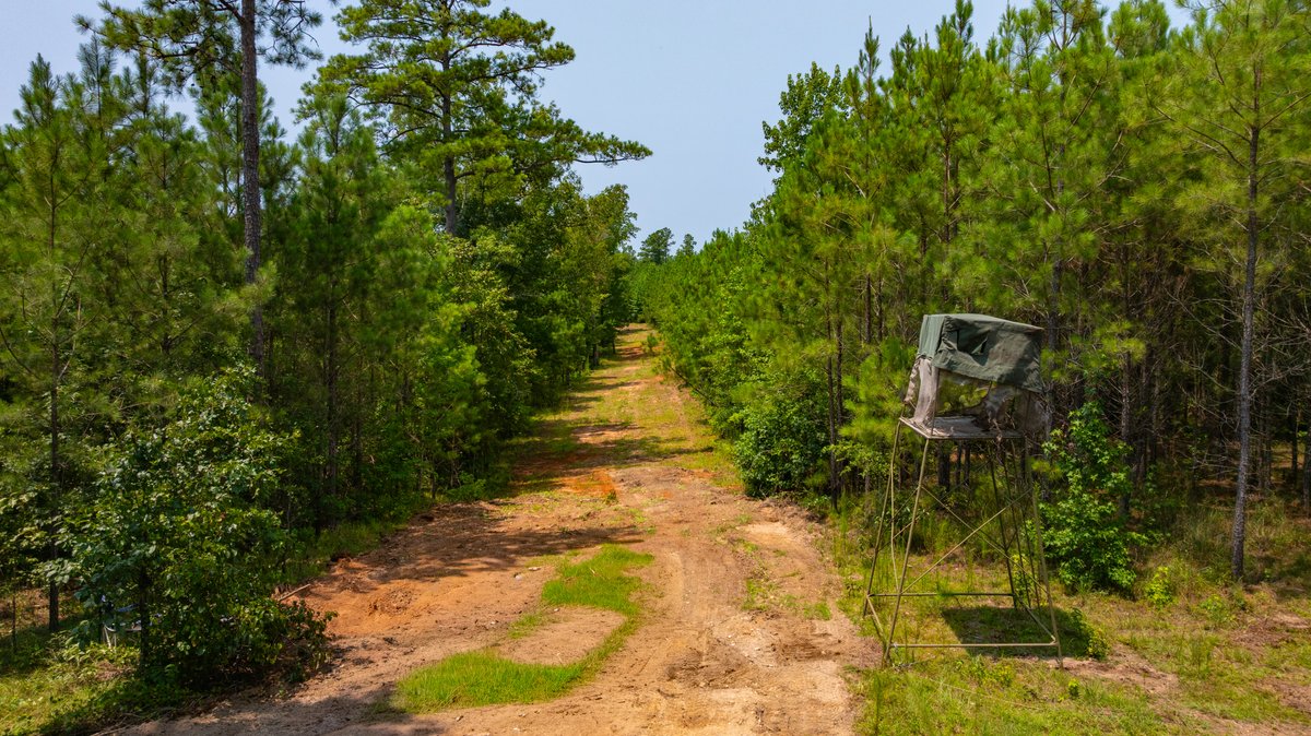 Image for The Martin Branch Retreat - 227± Acres - Crawford County, Georgia - Exceptional Hunting, Homesite Opportunities & Timber Investment