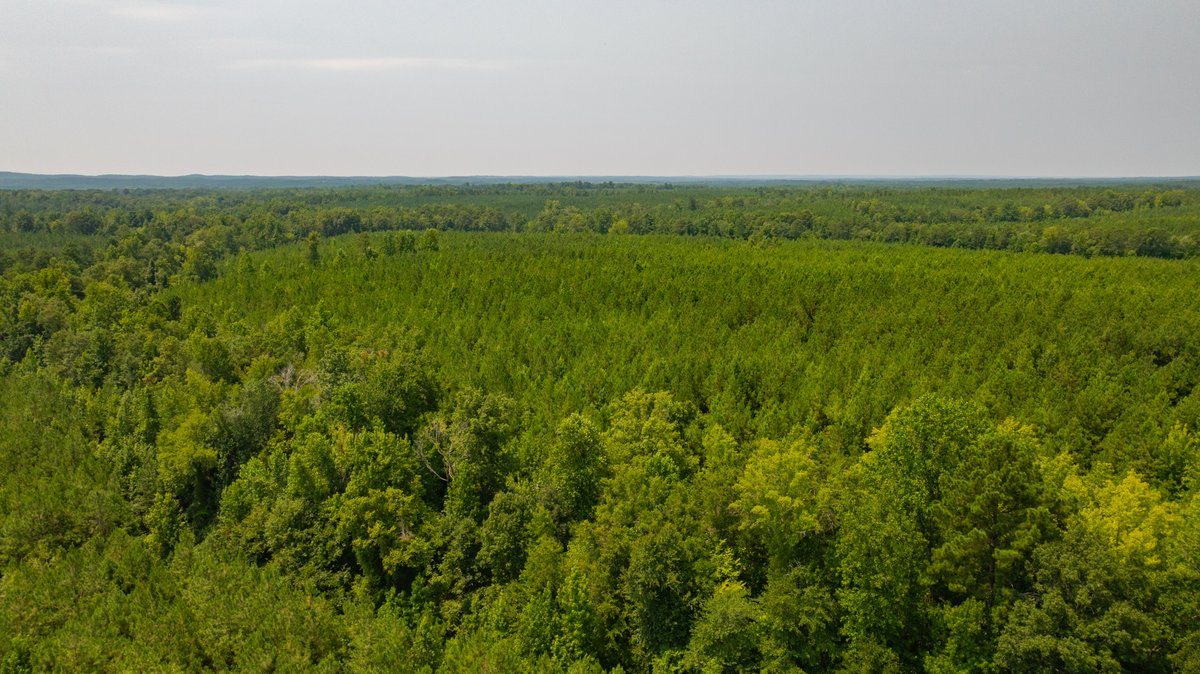 Image for The Martin Branch Retreat - 227± Acres - Crawford County, Georgia - Exceptional Hunting, Homesite Opportunities & Timber Investment