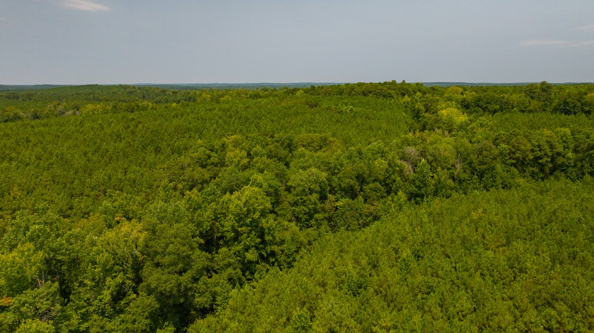 Image for The Martin Branch Retreat - 227± Acres - Crawford County, Georgia - Exceptional Hunting, Homesite Opportunities & Timber Investment
