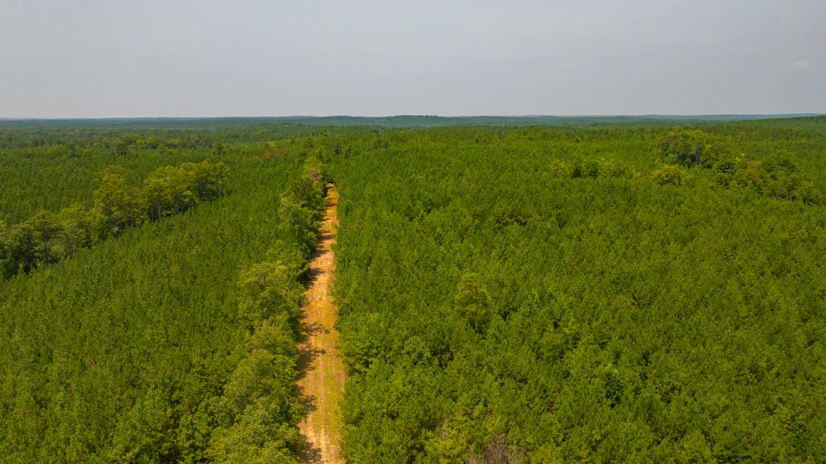 Image for The Martin Branch Retreat - 227± Acres - Crawford County, Georgia - Exceptional Hunting, Homesite Opportunities & Timber Investment