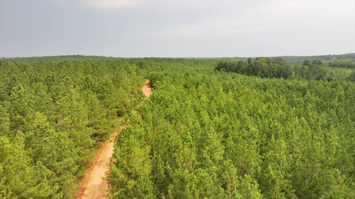 Image for The Martin Branch Retreat - 227± Acres - Crawford County, Georgia - Exceptional Hunting, Homesite Opportunities & Timber Investment
