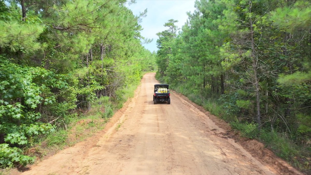 Image for The Martin Branch Retreat - 227± Acres - Crawford County, Georgia - Exceptional Hunting, Homesite Opportunities & Timber Investment