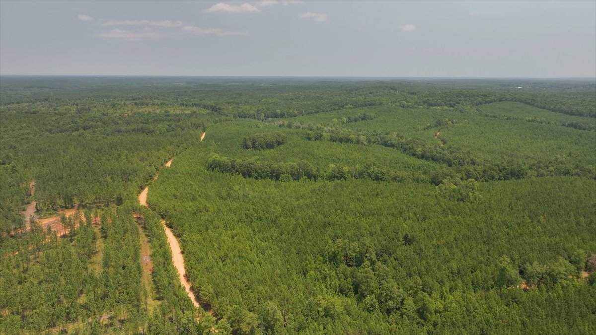 Image for The Martin Branch Retreat - 227± Acres - Crawford County, Georgia - Exceptional Hunting, Homesite Opportunities & Timber Investment