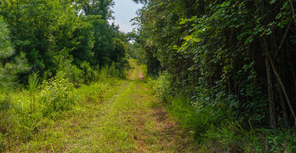 Image for The Martin Branch Retreat - 227± Acres - Crawford County, Georgia - Exceptional Hunting, Homesite Opportunities & Timber Investment