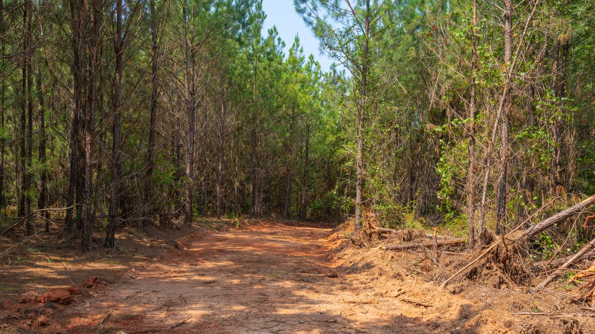 Image for The Martin Branch Retreat - 227± Acres - Crawford County, Georgia - Exceptional Hunting, Homesite Opportunities & Timber Investment