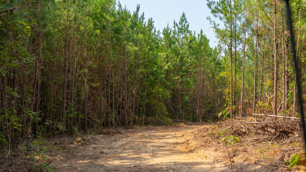 Image for The Martin Branch Retreat - 227± Acres - Crawford County, Georgia - Exceptional Hunting, Homesite Opportunities & Timber Investment