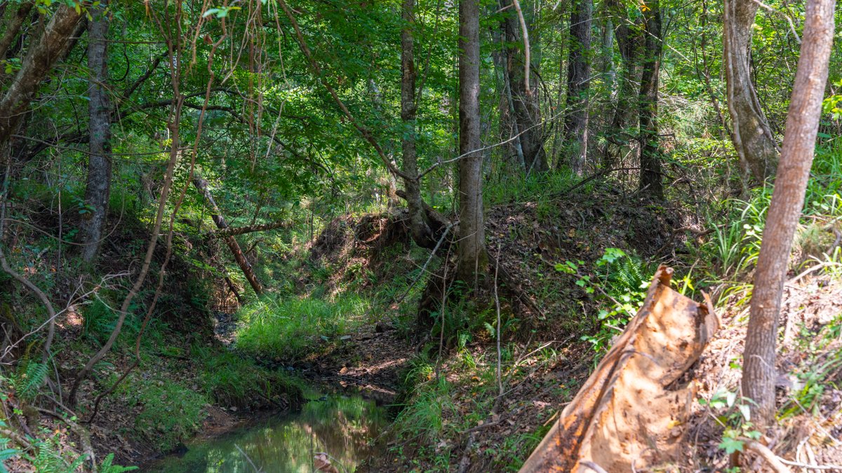 Image for The Martin Branch Retreat - 227± Acres - Crawford County, Georgia - Exceptional Hunting, Homesite Opportunities & Timber Investment