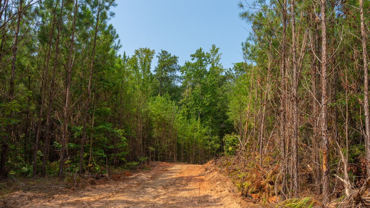 Image for The Martin Branch Retreat - 227± Acres - Crawford County, Georgia - Exceptional Hunting, Homesite Opportunities & Timber Investment