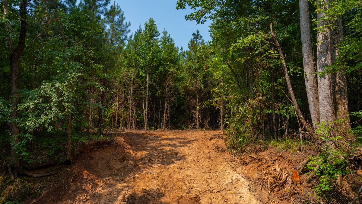 Image for The Martin Branch Retreat - 227± Acres - Crawford County, Georgia - Exceptional Hunting, Homesite Opportunities & Timber Investment