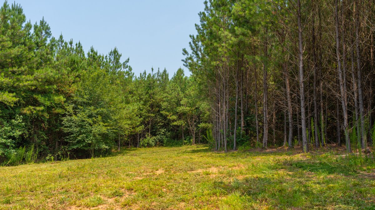 Image for The Martin Branch Retreat - 227± Acres - Crawford County, Georgia - Exceptional Hunting, Homesite Opportunities & Timber Investment