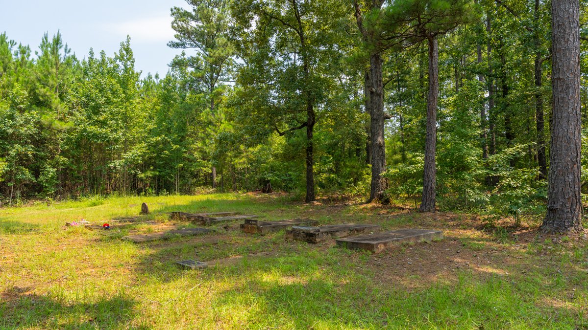 Image for The Martin Branch Retreat - 227± Acres - Crawford County, Georgia - Exceptional Hunting, Homesite Opportunities & Timber Investment