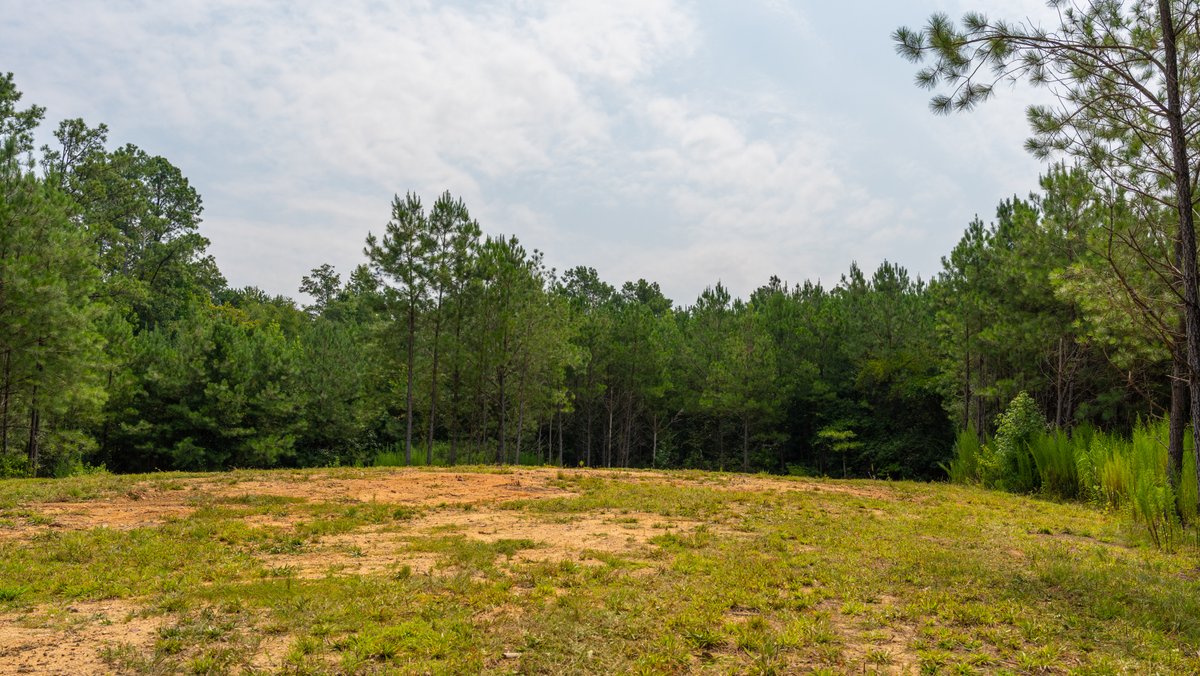 Image for The Martin Branch Retreat - 227± Acres - Crawford County, Georgia - Exceptional Hunting, Homesite Opportunities & Timber Investment