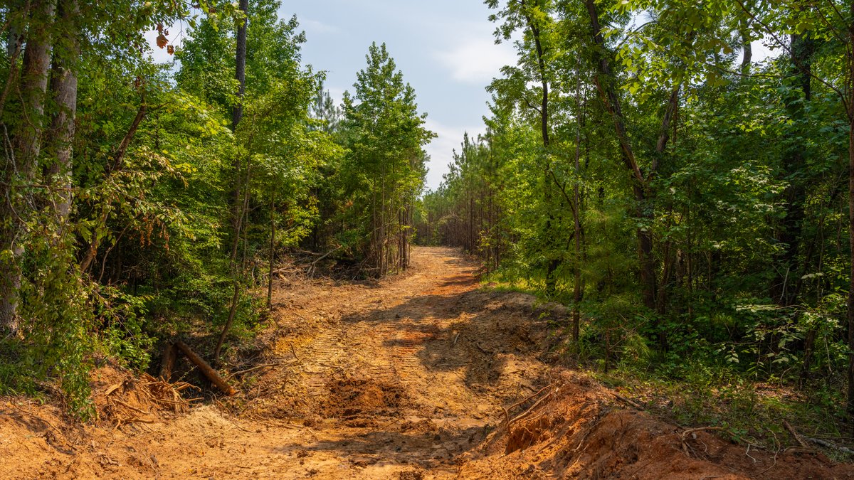 Image for The Martin Branch Retreat - 227± Acres - Crawford County, Georgia - Exceptional Hunting, Homesite Opportunities & Timber Investment